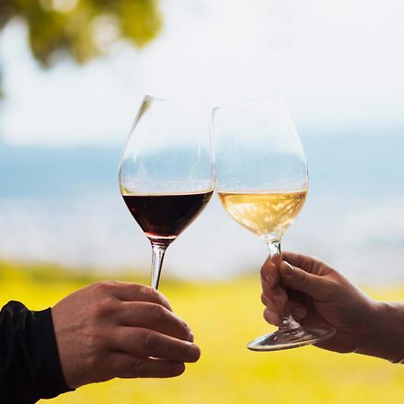 Altos De La Vina, Wine Hotel & Spa San Salvador de Jujuy Eksteriør billede