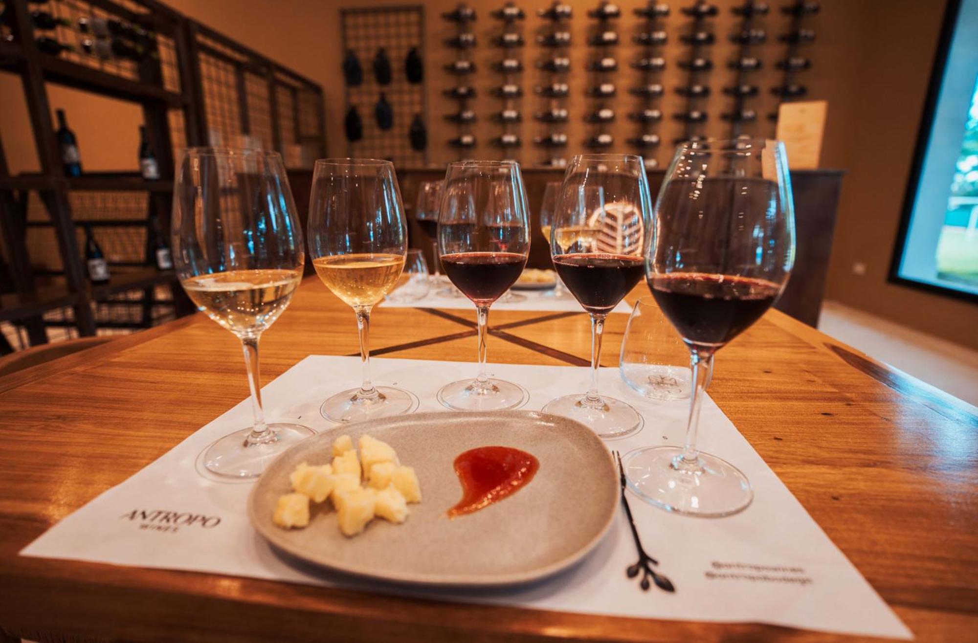 Altos De La Vina, Wine Hotel & Spa San Salvador de Jujuy Eksteriør billede